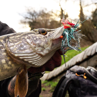 jig fly in pikes mouth